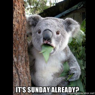 sunday-already